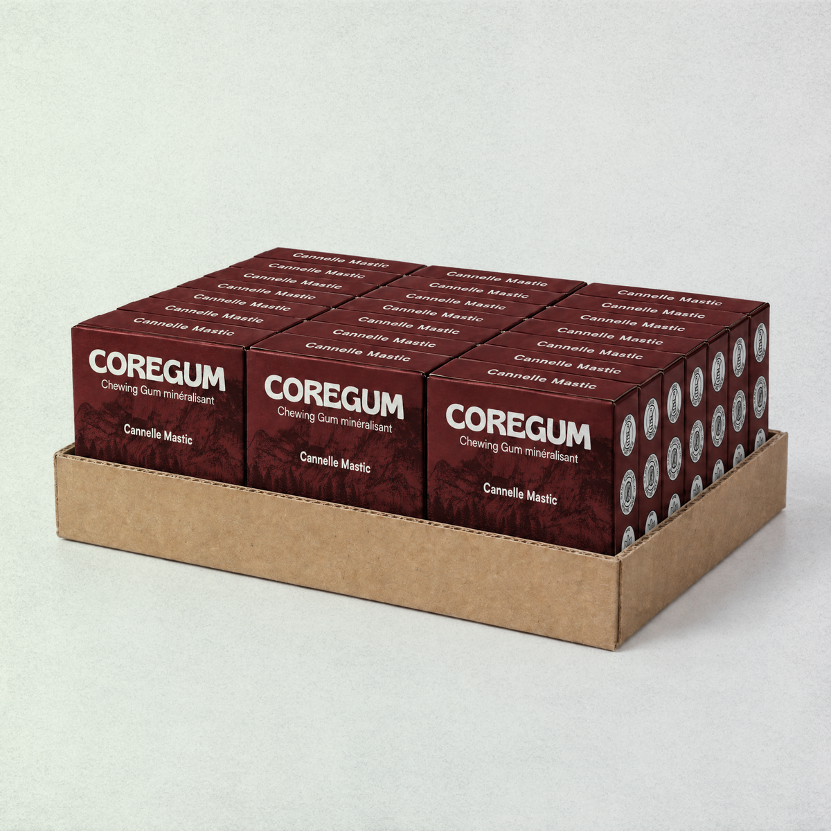 Coffret de 24 boîtes Coregum Cannelle mastic dans sa barquette kraft